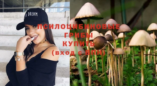 трава Абинск